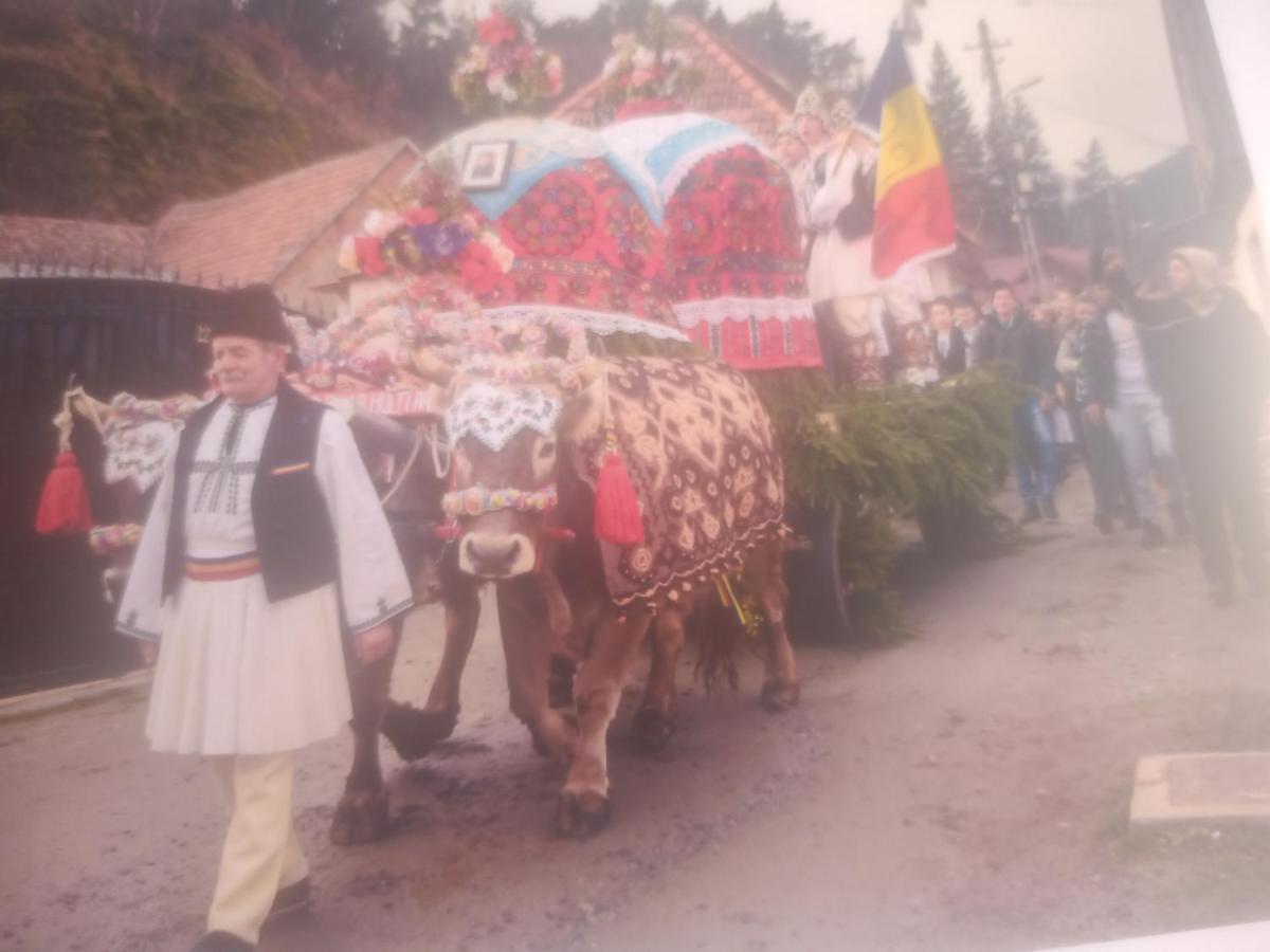 Pensiunea Casa Roman Tălmaciu Eksteriør billede